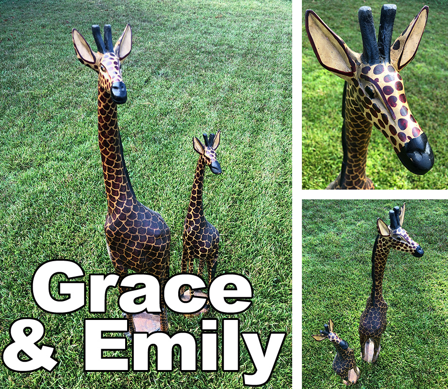 Grace & Emily the Giraffes