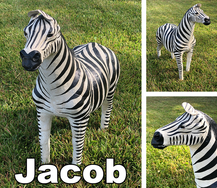 Jacob the Zebra